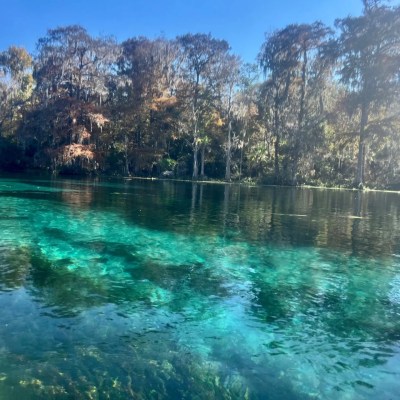 Crystal clear water with trees and blue sky in the background.