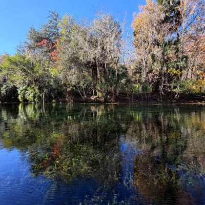 Calm river reflecting autumn trees under a clear blue sky.