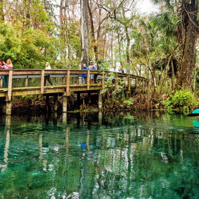 People kayaking in clear water near a wooden bridge surrounded by trees.