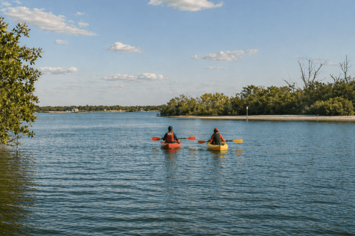 Two people kayaking in calm water with trees lining the shore under a blue sky.