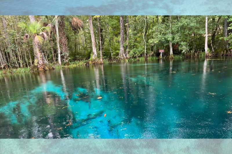 Clear blue spring with trees and green foliage around it.