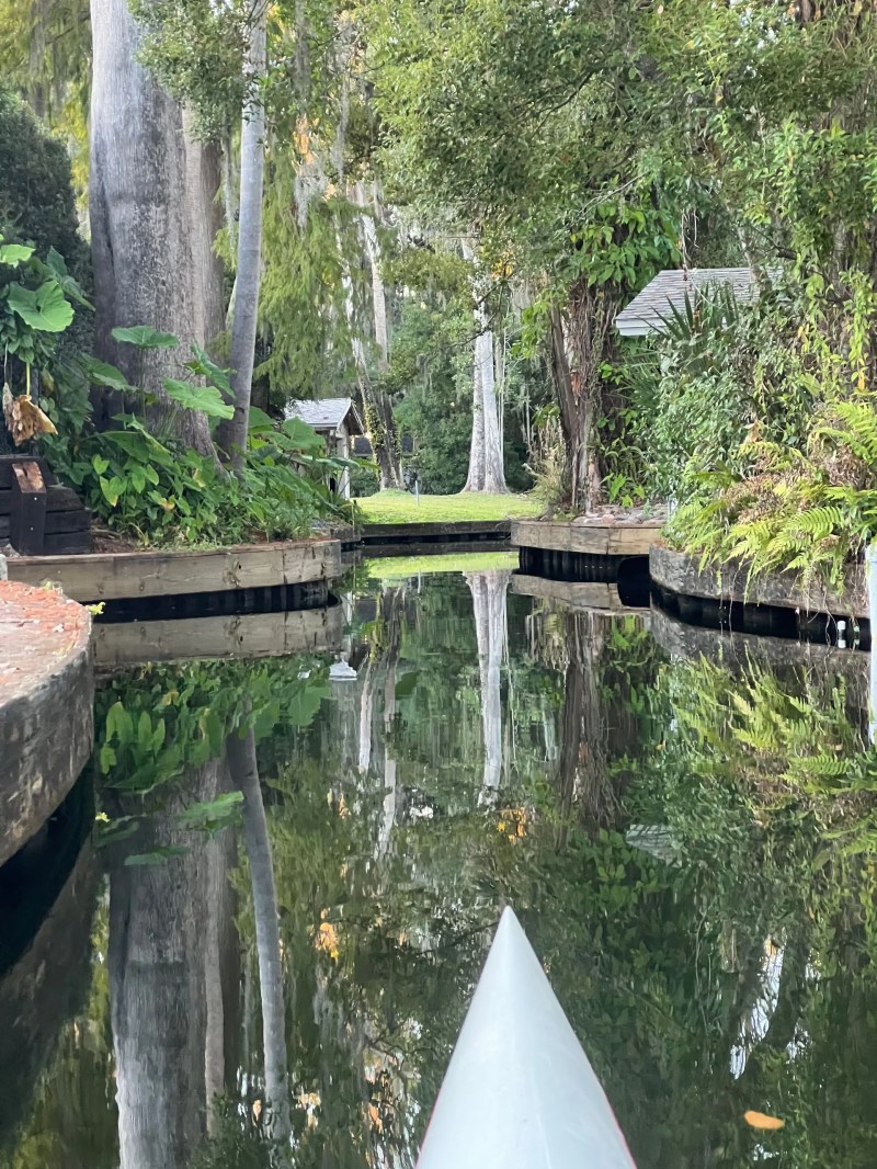 Narrow canal with lush trees reflecting on calm water, view from a kayak.